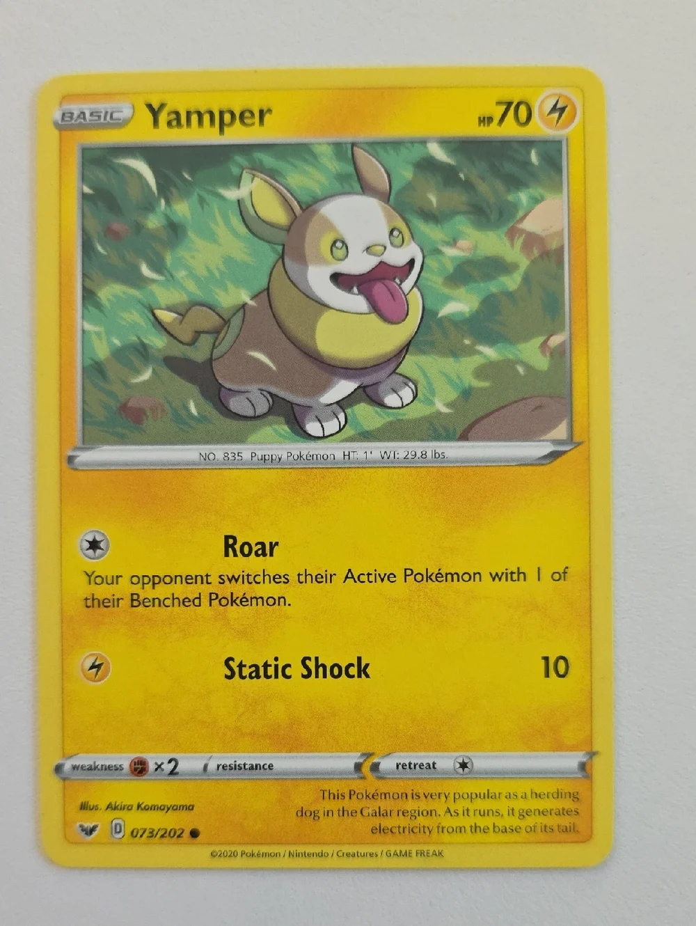 Pokemon Yamper And Boltund Trading Cards